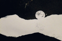 Grafikk (1)